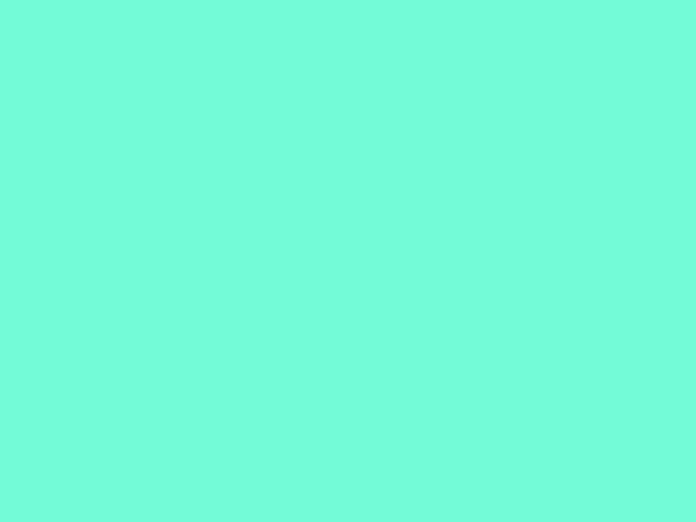 Metashape thermal orthomosaic engineering output